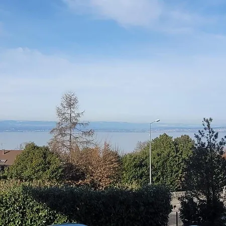 Neuf Moderne Avec Balcon Et Garage A - Fr-1-498-103 Evian-les-Bains